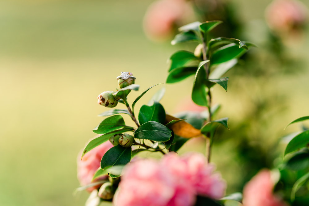 Samantha&Dave-103.jpg